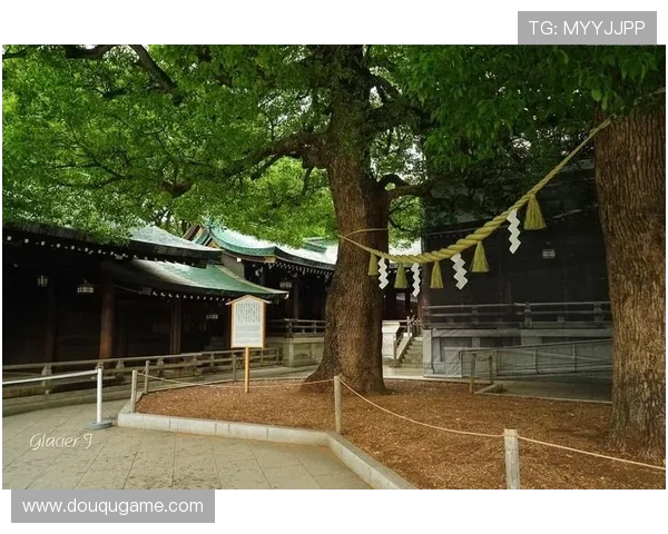 杈句竾锛氬浗鑴氬綊闃熸棤缂濊鎺ワ紒鍥藉畨鐧婚《姒滈锛屼簤鍐犺繘鍏ョ櫧鐑寲